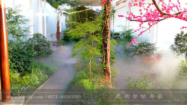 這樣的室內(nèi)庭院，簡直讓我尖叫！